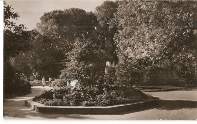 CPI (B3462) CARANSEBES - VEDERE DIN PARC, EDITURA MERIDIANE, SCRISA SI NECIRCULATA, DATATA 1964, R.P.R. foto