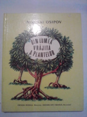 Din lumea vrajita a plantelor - Nikolai Osipov (ilustratii de Victor Kirillov) / C1P foto