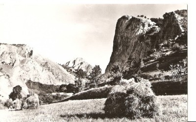 CPI (B3467) MUNTII APUSENI. PEISAJ DIN VALEA AIUDULUI, EDITURA MERIDIANE, SCRISA SI NECIRCULATA, R.P.R., DATATA 1964 foto