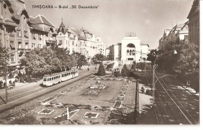 CPI (B3461) TIMISOARA. BULEVARDUL &amp;quot;30 DECEMBRIE&amp;quot;, EDITURA MERIDIANE, SCRISA SI NECIRCULATA, DATATA 1964, R.P.R., TRAMVAI foto