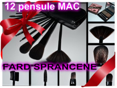 Set 12 pensule profesionale MAC +borseta eleganta piele sintetica Make up Pensule par natural Trusa fard + BONUS TRUSA FARD SPRANCENE foto