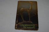 Caprioara de smalt - nicolae teica - Editura pentru literatura - 1961, Alta editura