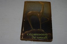 Caprioara de smalt - nicolae teica - Editura pentru literatura - 1961