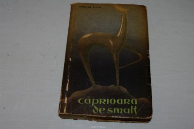 Caprioara de smalt - nicolae teica - Editura pentru literatura - 1961 foto