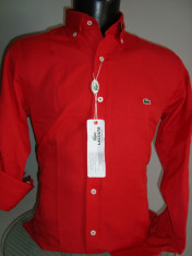 CAMASA /CAMASI LACOSTE slim fit BUMBAC 100% CALITATE !!! doar masura S foto