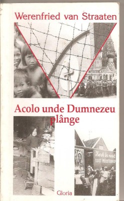 (C4432) ACOLO UNDE DUMNEZEU PLANGE DE WERENFRIED VAN STRAATEN, EDITURA GLORIA, 2000, TRADUCERE DE DAN BURCEA foto