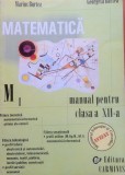 MATEMATICA MANUAL PENTRU CLASA A XII-A M1 - Marius Burtea, Georgeta Burtea, Alta editura, Clasa 12