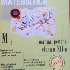 MATEMATICA MANUAL PENTRU CLASA A XII-A M1 - Marius Burtea, Georgeta Burtea