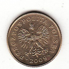 Polonia1 grosz 2009