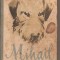 (C4365) MIHAIL CAINE DE CIRC DE JACK LONDON, EDITURA TINERETULUI, 1957, TRADUCERE DE MIRCEA ALEXANDRESCU SI MARIUS MAGUREANU, CIINE