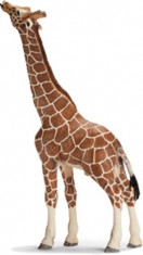 Figurina animal Girafa mancand - 14389 foto