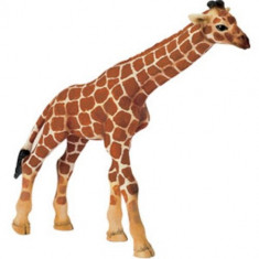 Figurina animal Girafa pui - 14321 foto