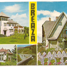 carte postala(ilustrata)-BREAZA-colaj