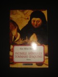 ALEX MIHAI STOENESCU - PATIMILE SFINTULUI TOMMASO D&#039;AQUINO {1995}, Humanitas