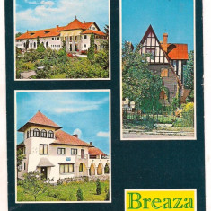 carte postala(ilustrata)-BREAZA-colaj