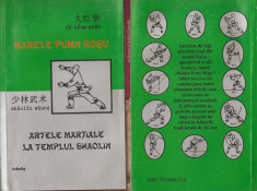 DA HONG QUAN / MARELE PUMN ROSU - WUSHU - ARTELE MARTIALE LA TEMPLUL SHAOLIN foto