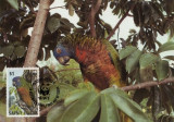 WWF set 1987 Saint Lucia - 4 x MC - papagal