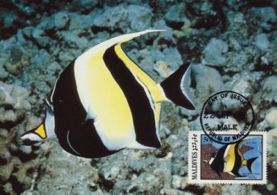 WWF compet set /4 buc./ 1986 Maldivi - pacific peste foto