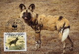WWF MC complet set /4 x buc. Maximum cartele/ Guinea 1987 - african wild dog