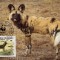 WWF MC complet set /4 x buc. Maximum cartele/ Guinea 1987 - african wild dog