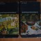 n5 JOHN REWALD - POSTIMPRESIONISMUL, 2 volume