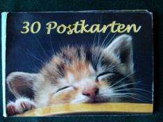 Mini album - 9 carti postale tematice ( pisici ) foto