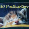 Mini album - 9 carti postale tematice ( pisici )