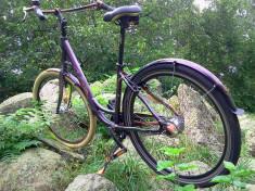 bicicleta KALKHOFF UNICAT GERMANIA vopsea CAMELEON airbrush foto