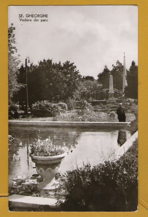 SFANTU GHEORGHE 1965