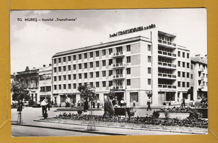 TARGU MURES HOTEL TRANSILVANIA 1961