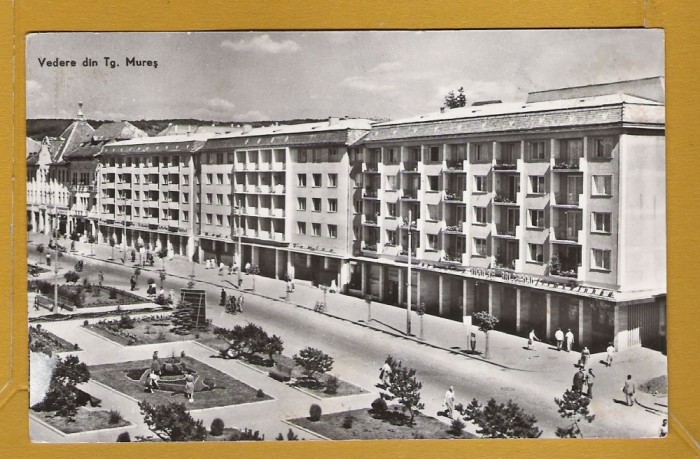 TARGU MURES MAGAZIN FEMINA 1962