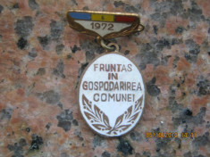 ISG FRUNTAS IN GOSPODARIREA COMUNEI 1972 foto