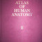 Atlas of human anatomy(atlas de anatomie umana/volumul 2)-Sinelnikov