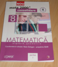 Matematica clasa a VIII-a - culegere algebra, geometrie / 2 volume foto