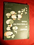 D.M.Mateescu -Ghidul Cultivatorului de Ciuperci 1982