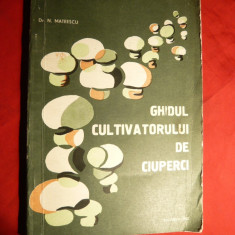 D.M.Mateescu -Ghidul Cultivatorului de Ciuperci 1982
