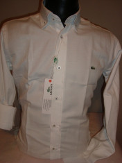 CAMASA /CAMASI LACOSTE slim fit BUMBAC 100% foto