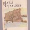 Areta Sandru - Glontul de portelan