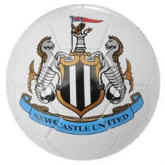 Minge de fotbal Newcastle United foto