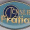 Insigna CNSLR Fratia