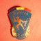 Insigna Campionat de Triatlon Militar 1968 ,h= 3,7 cm