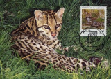 WWF complet set /4buc./ 1988 Salvador - wild cats