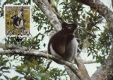 Madagaskar MK complet set /4 buc./ 1988 Lemuren