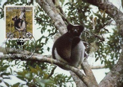 Madagaskar MK complet set /4 buc./ 1988 Lemuren foto