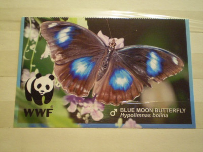 RUSIA - BLOCK NESTAMPILAT - FLUTURI WWF [ BLUE MOON BUTTERFLY ] foto