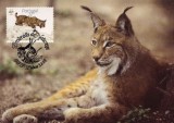 WWF complet se MK /4buc./ 1987 Portugal - Lynx