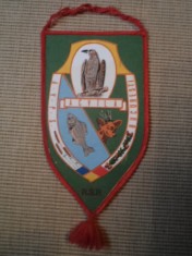 Fanion AVPS Acvila Bucuresti RSR vanatoare pescuit hobby foto