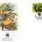 WWF FDC complet set /4 buc./ 1991 Barbados - birds