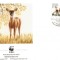 WWF FDC /4buc./ complet set 1992 netherland Antiles - Deer