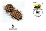 WWF FDC 1991 Monaco complet serie - 4 buc. FDC turtles